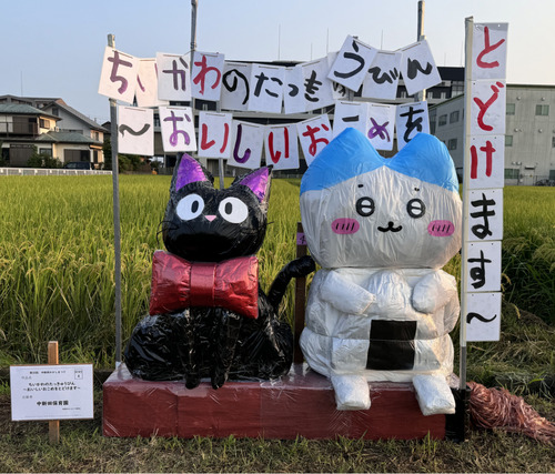 昨年の最優秀作品