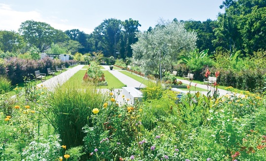 10月下旬から色とりどりのバラが咲き始める（９月21日撮影）