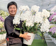 洋らんフェア開催中