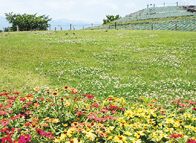 ぐうたらガーデニング