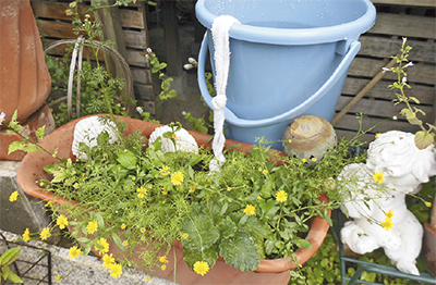 ぐうたらガーデニング