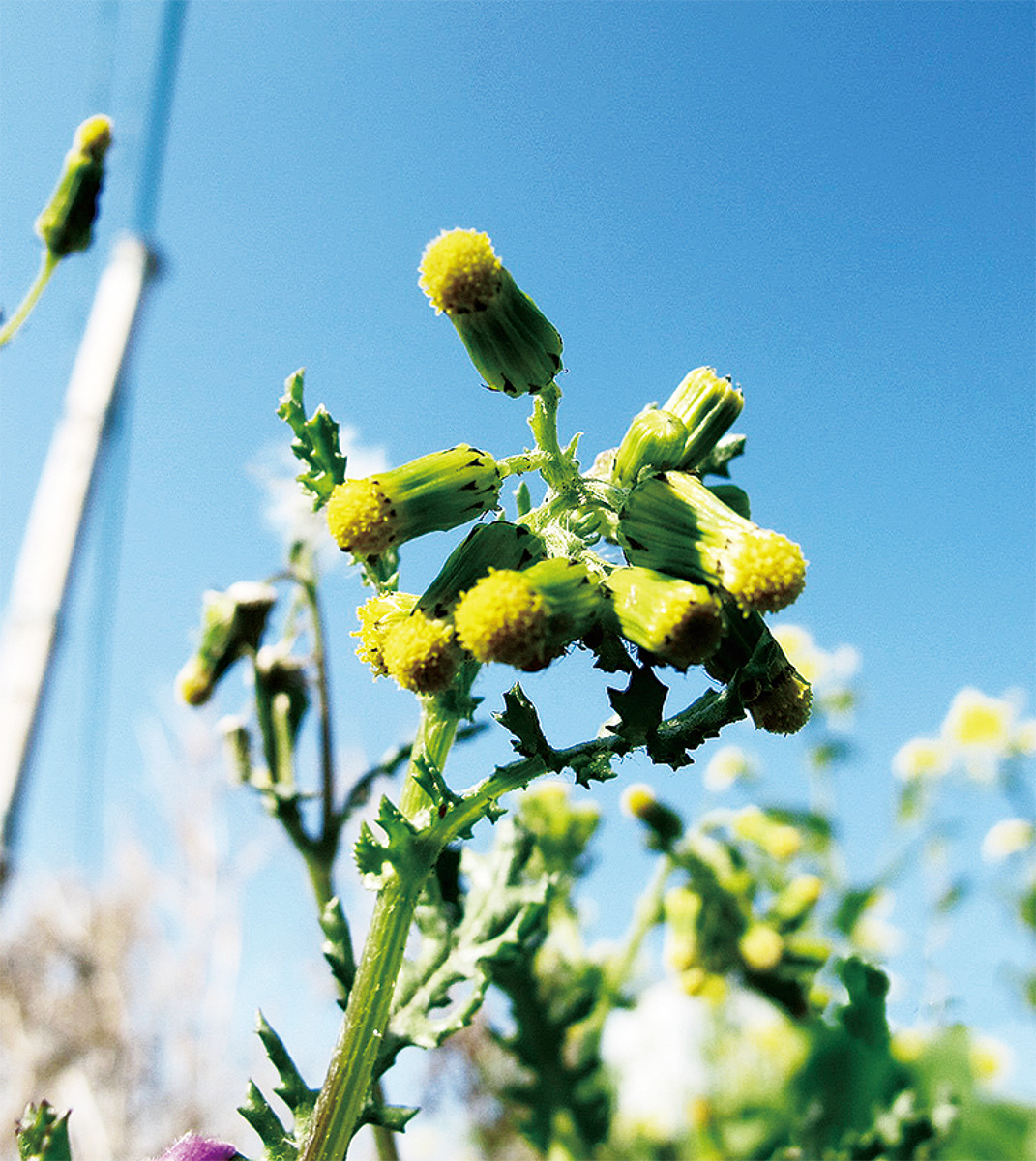 海老名の生き物がかり㉙