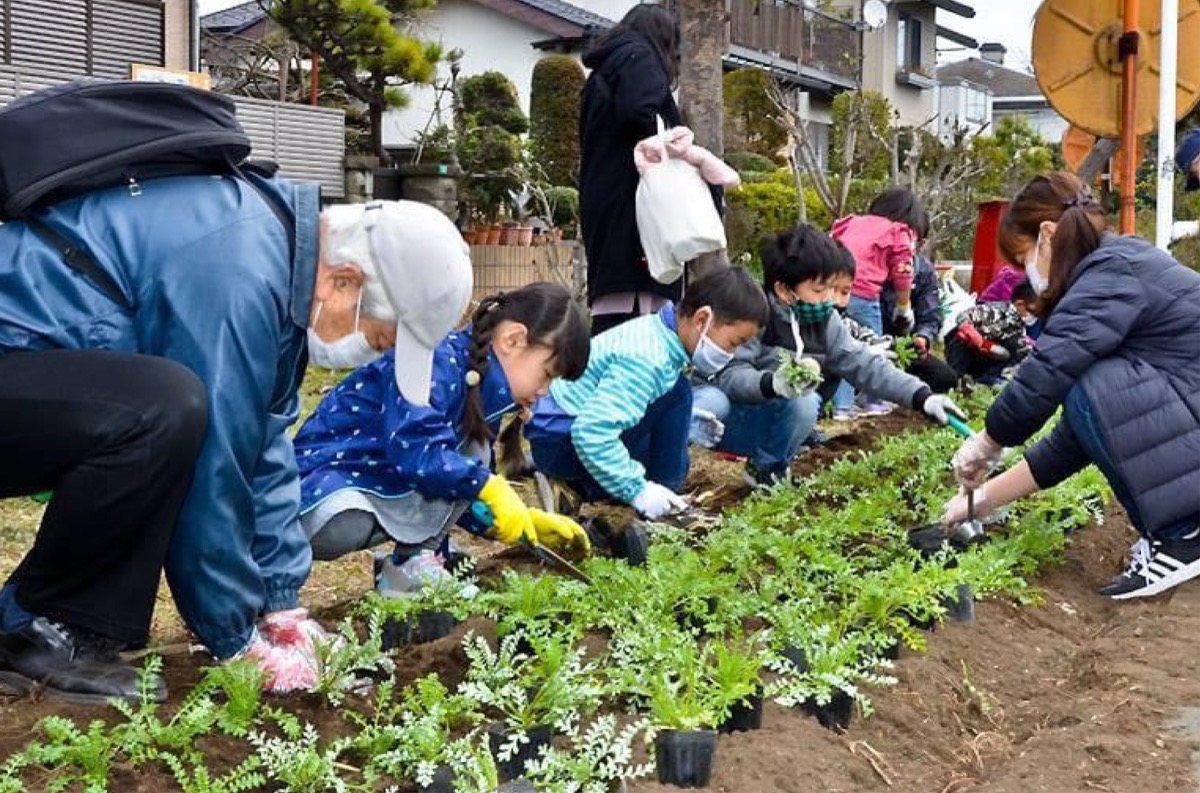 ネモフィラを植える参加者(主催者提供)