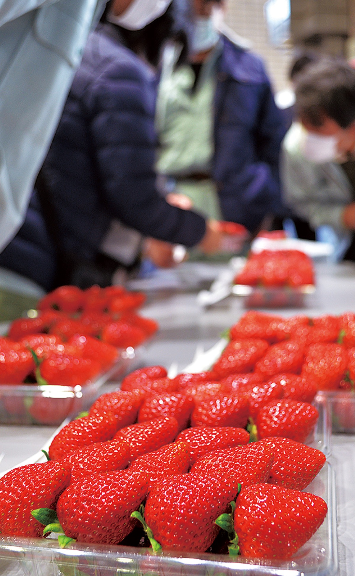 海老名勢が上位独占