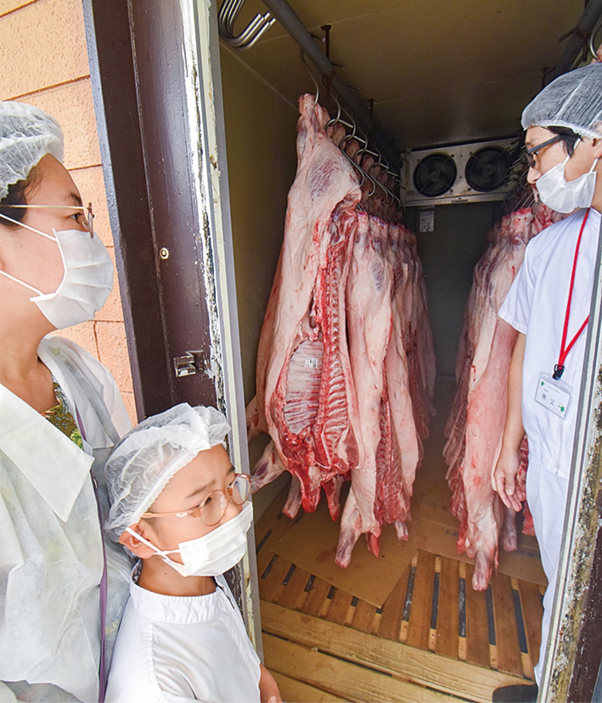 迫力の枝肉も見学