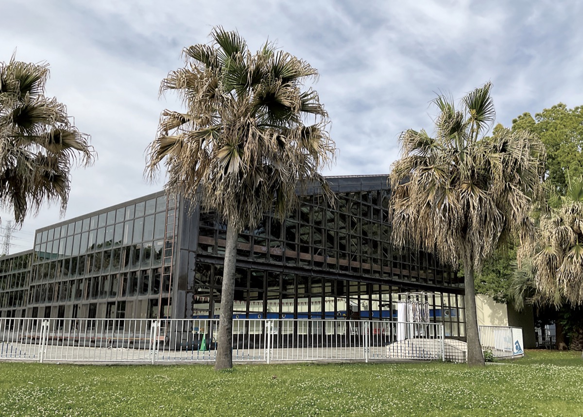 ｢プール無料｣中学生にも