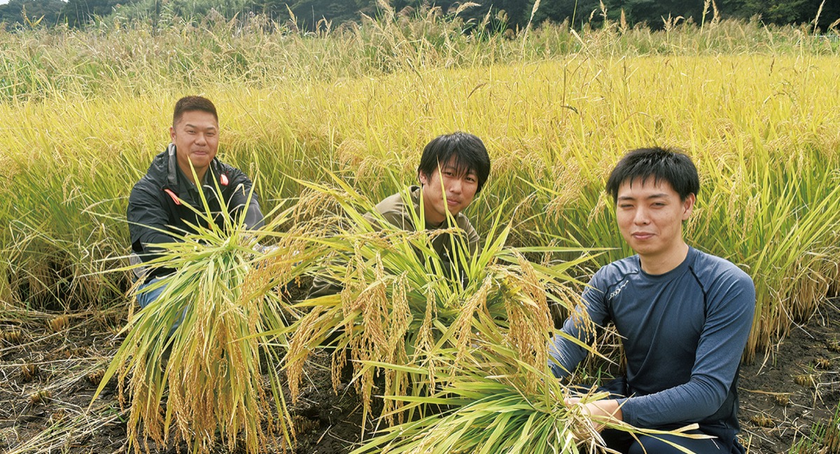 ゼロから休耕田復活