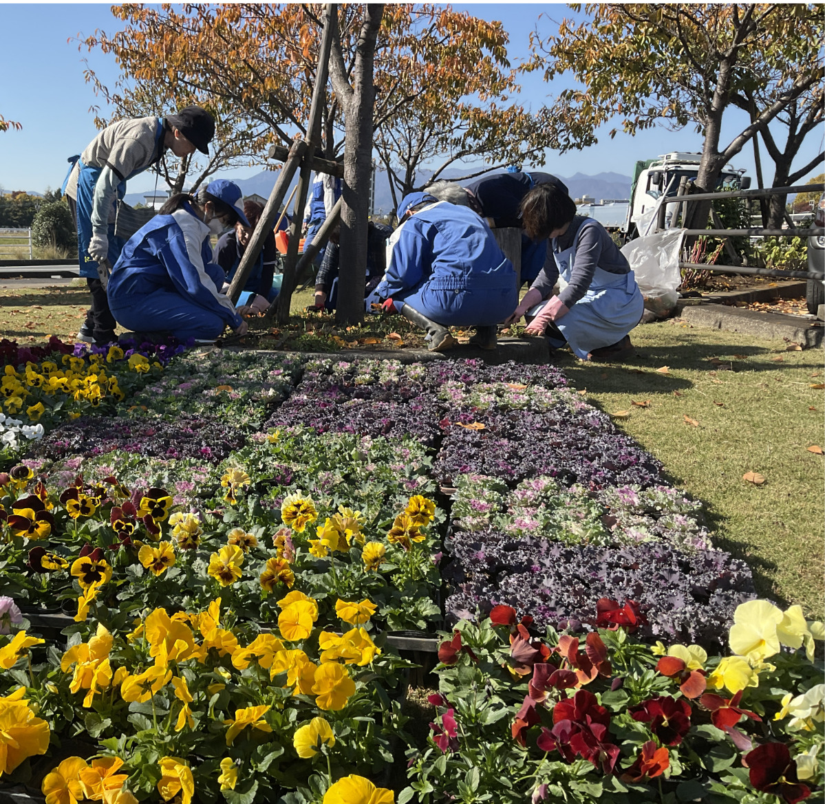 中央農高生と花植え
