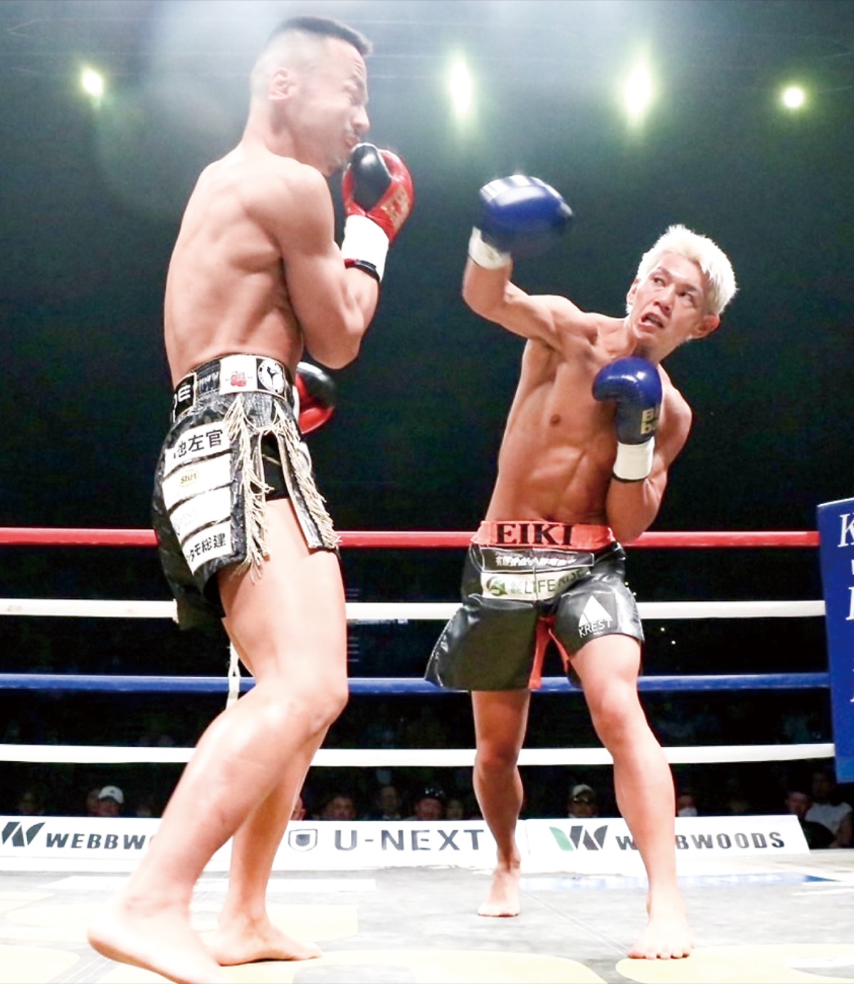 倉田選手　フェザー級王者