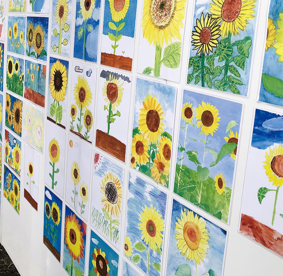 ひまわりの絵 ズラリ