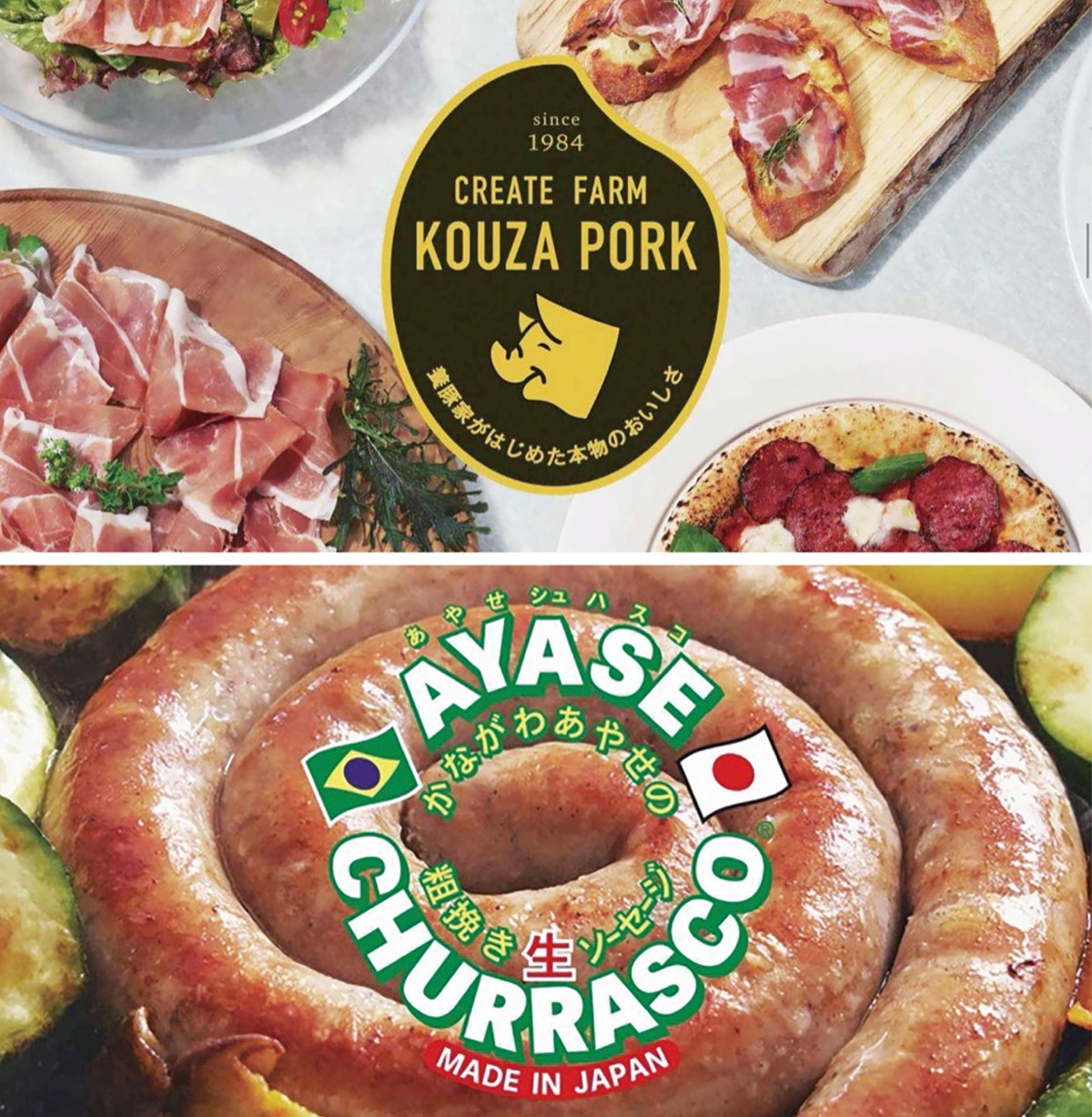 新ロゴ作成など支援