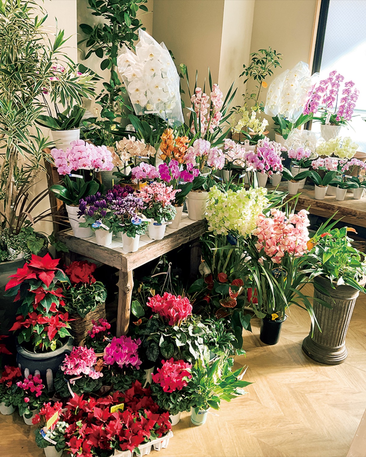 年末贈答用の花 充実