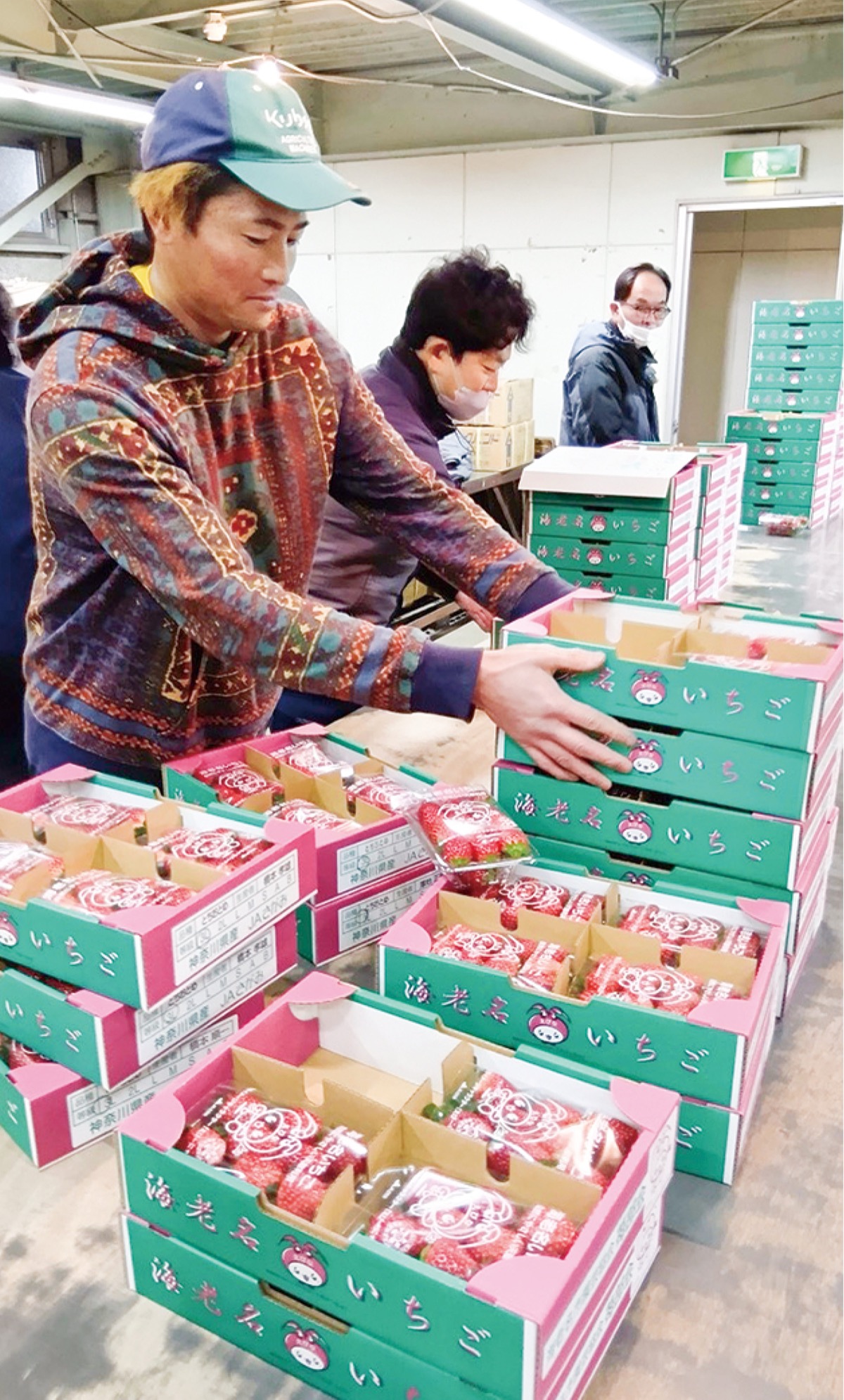 初出荷、香り充満