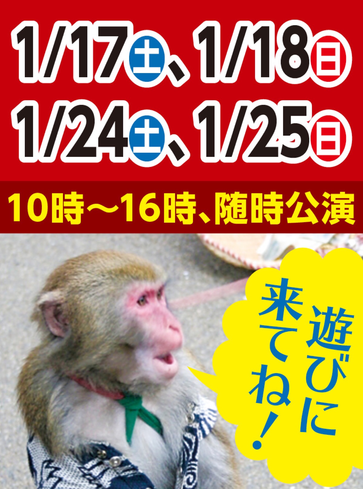 鈴鹿明神社で猿回し