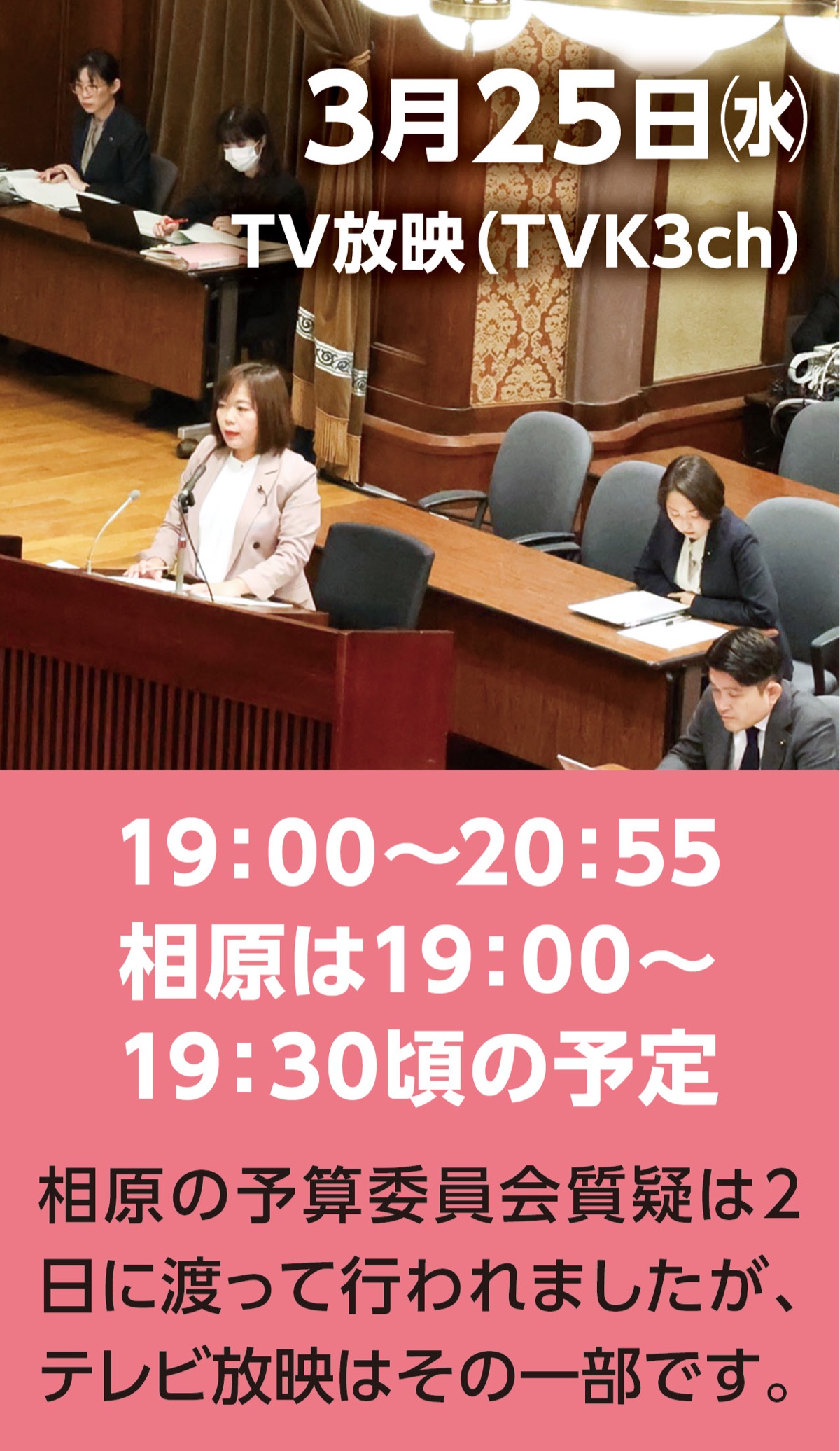 予算委員会に登壇 (写真3)