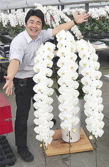 加藤さんと、子どもの背丈ほどもある胡蝶蘭