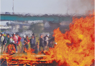 座間の魅力、一枚に