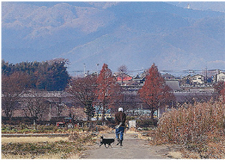 新田宿を撮影した黒丸さんの「散歩道」