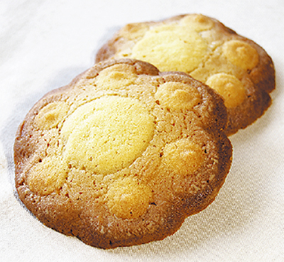 １点追加 23品に