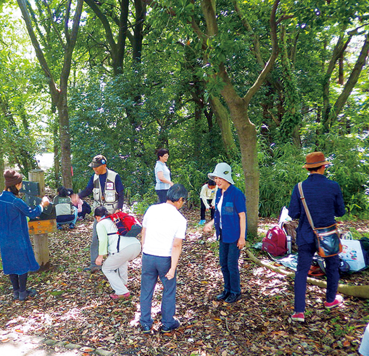 みんなで自然を体感