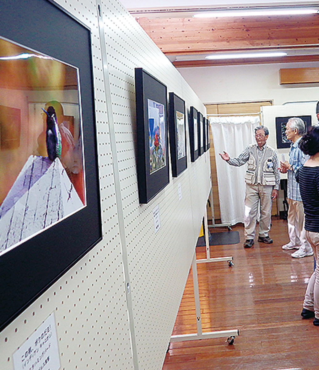 野鳥などの写真展