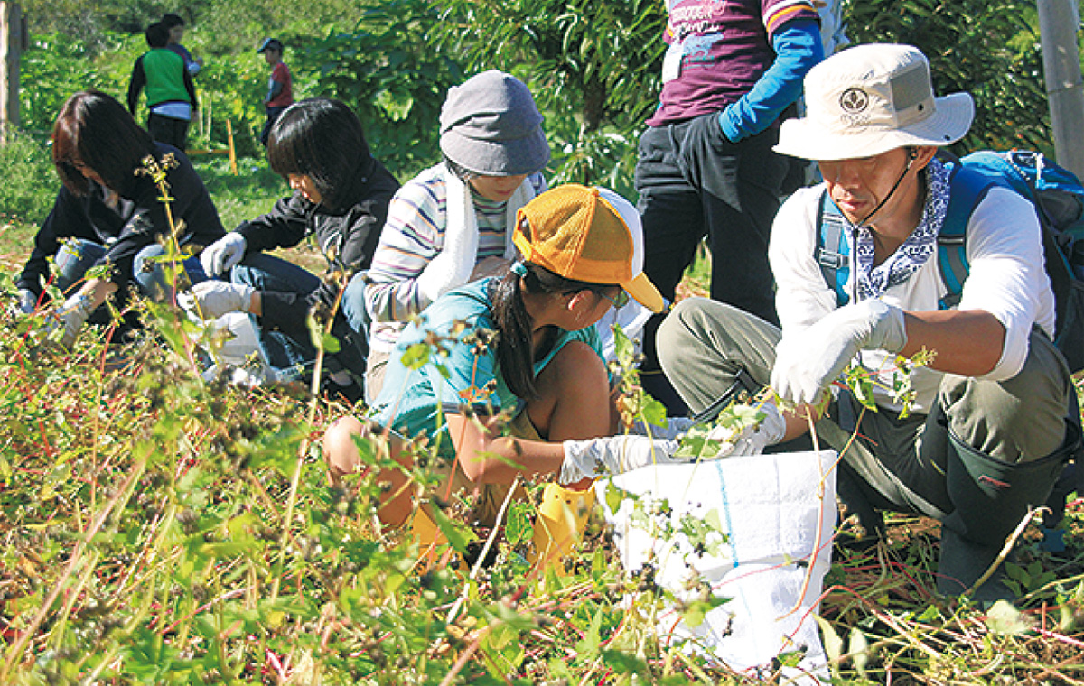 「里地里山」を満喫しよう