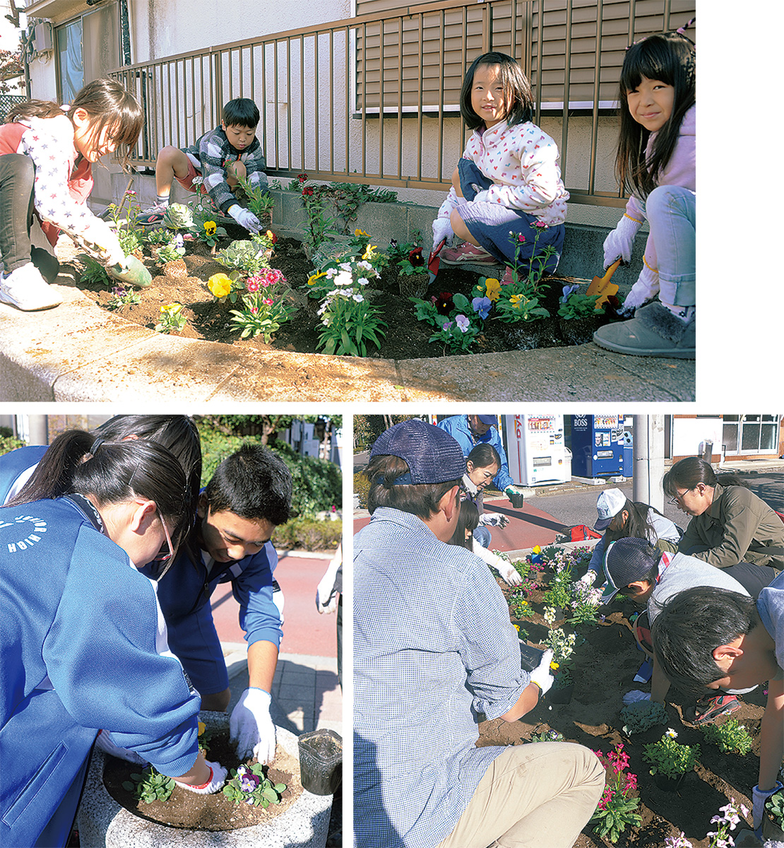 冬に向け町を彩る