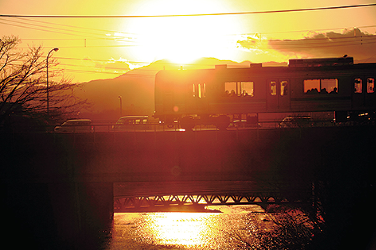 写真コンテスト　作品募集