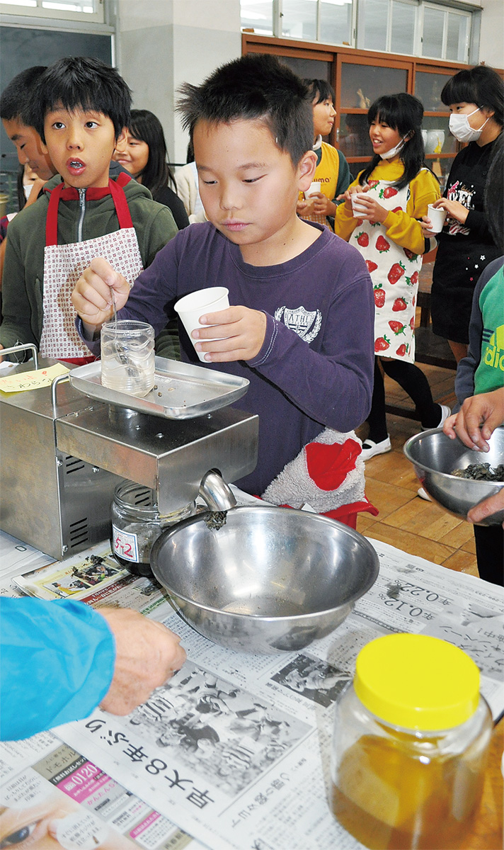 「ヒマワリ油、採れたよ」