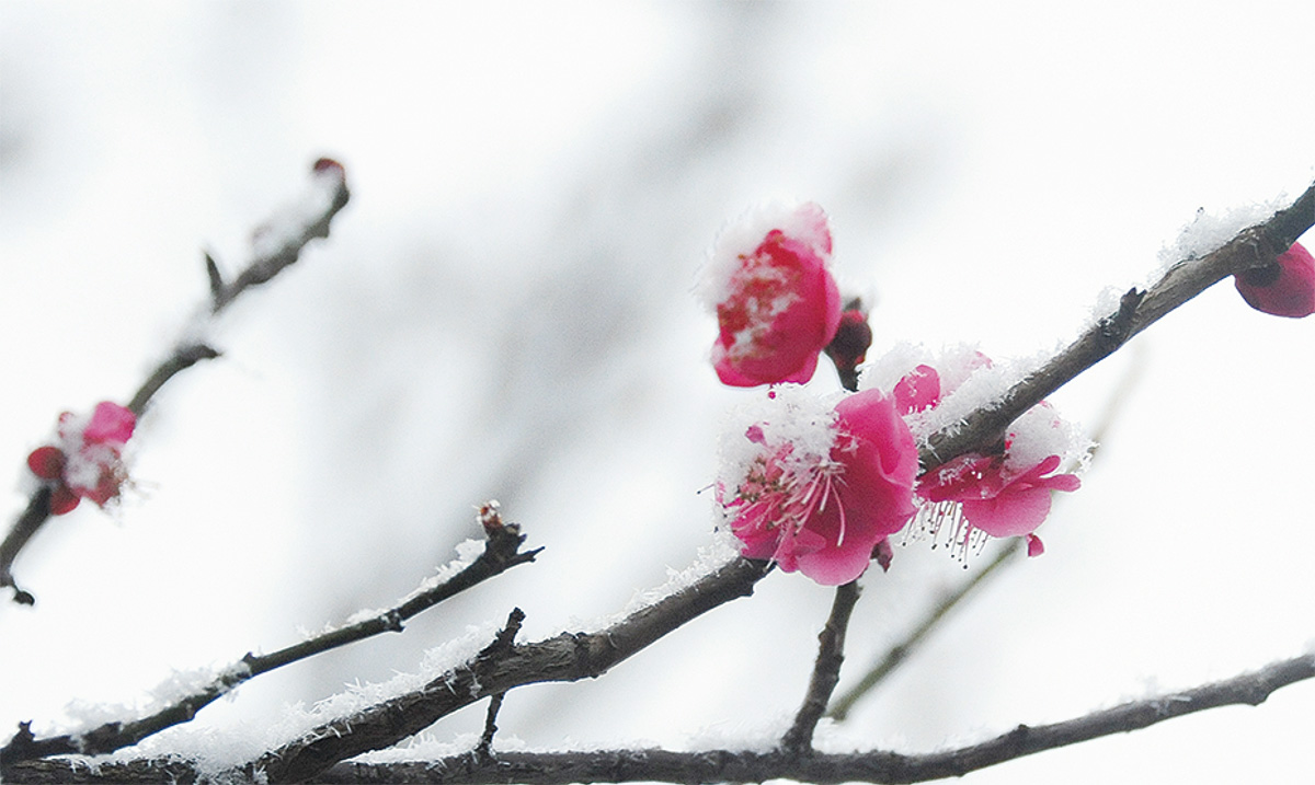 楽しい雪あそびVSブルブル春よ来い (写真2)