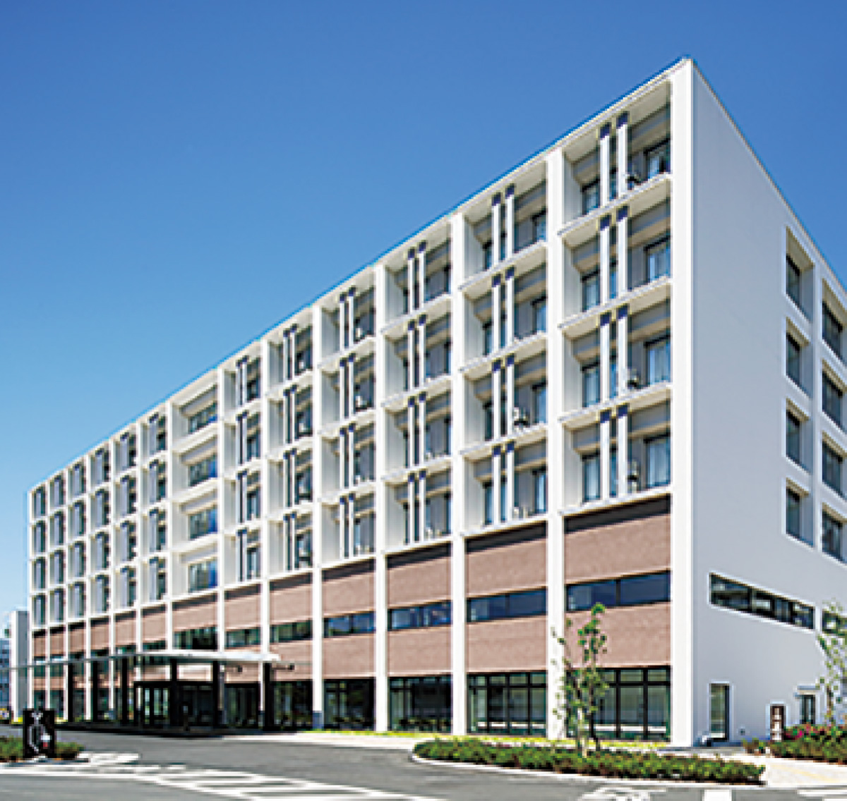 眼科の疾患について