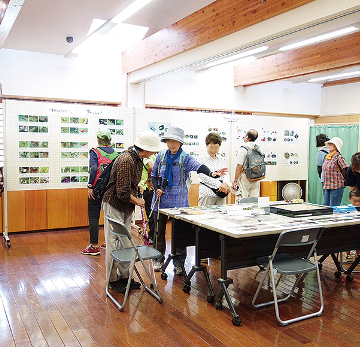 昆虫の面白い生態知る