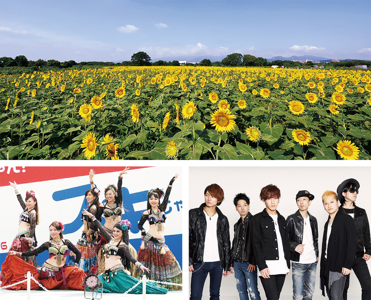 イベントなど充実