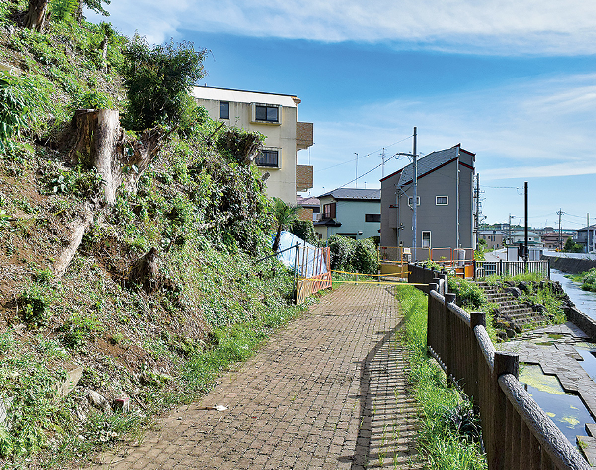 市情報に従って行動を