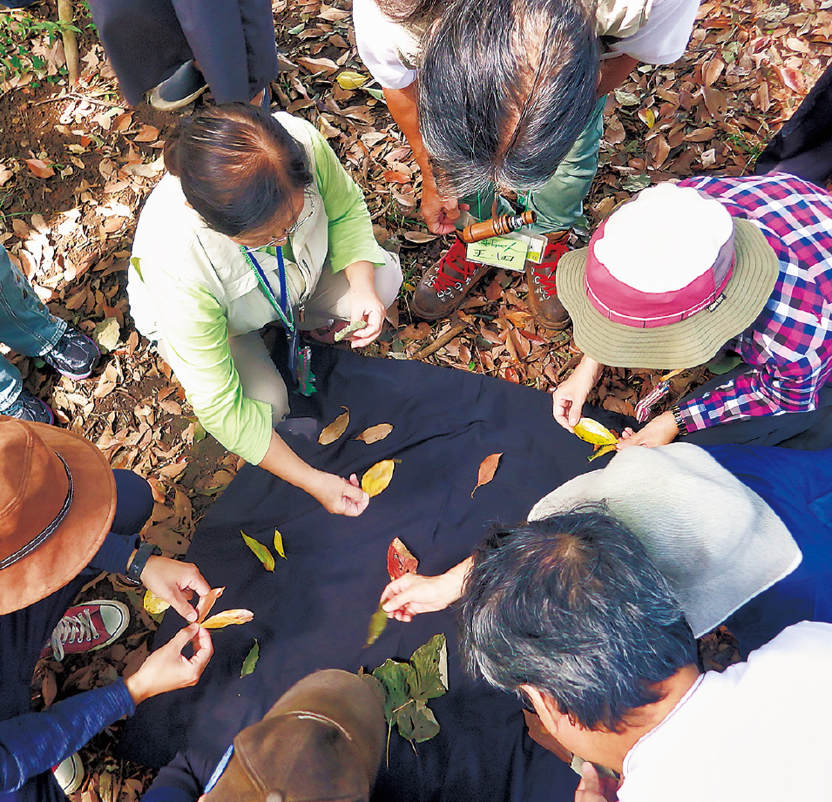 みんなで自然を体感