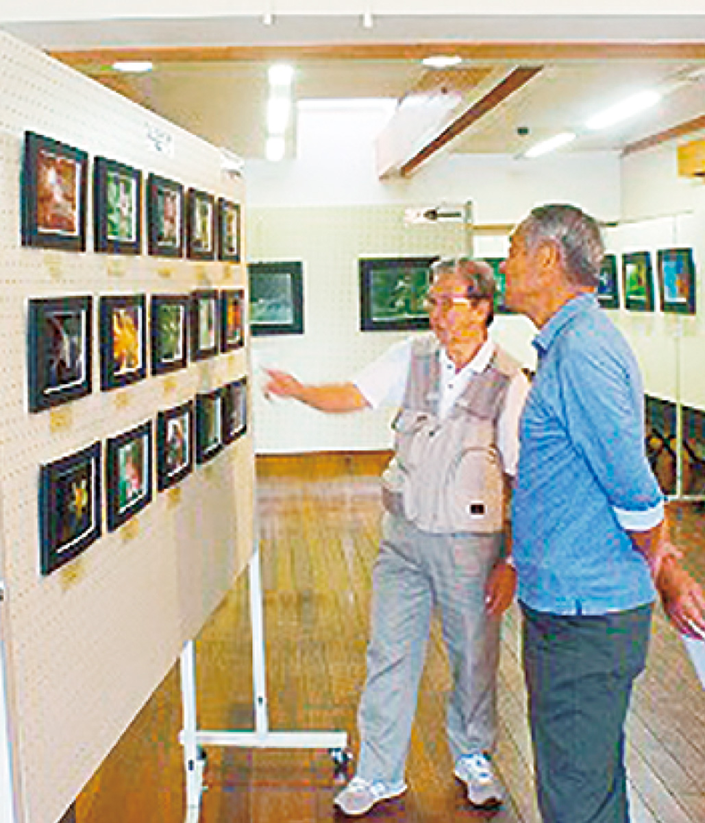 野鳥などの写真展
