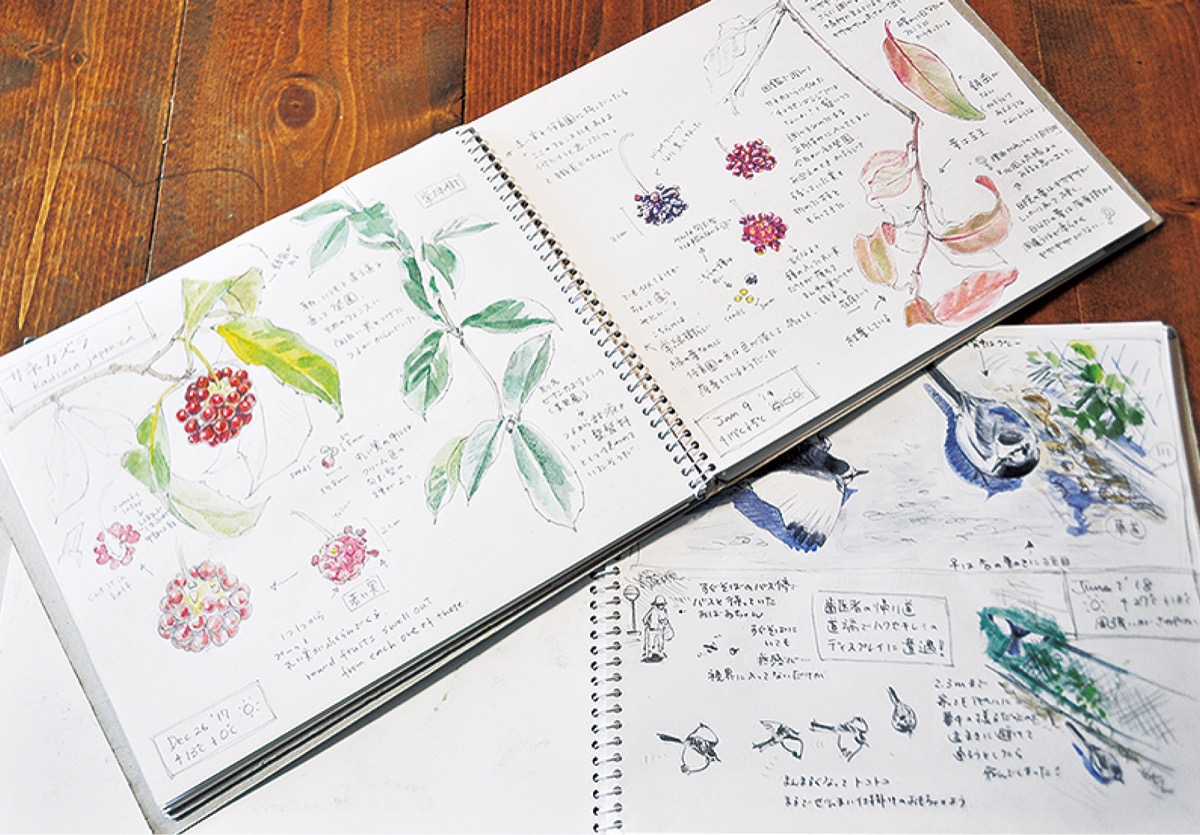 自然を見て、聞いて、感じて