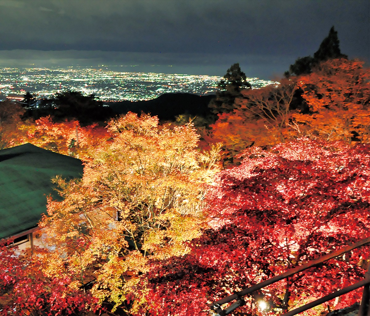 紅葉ライトアップ