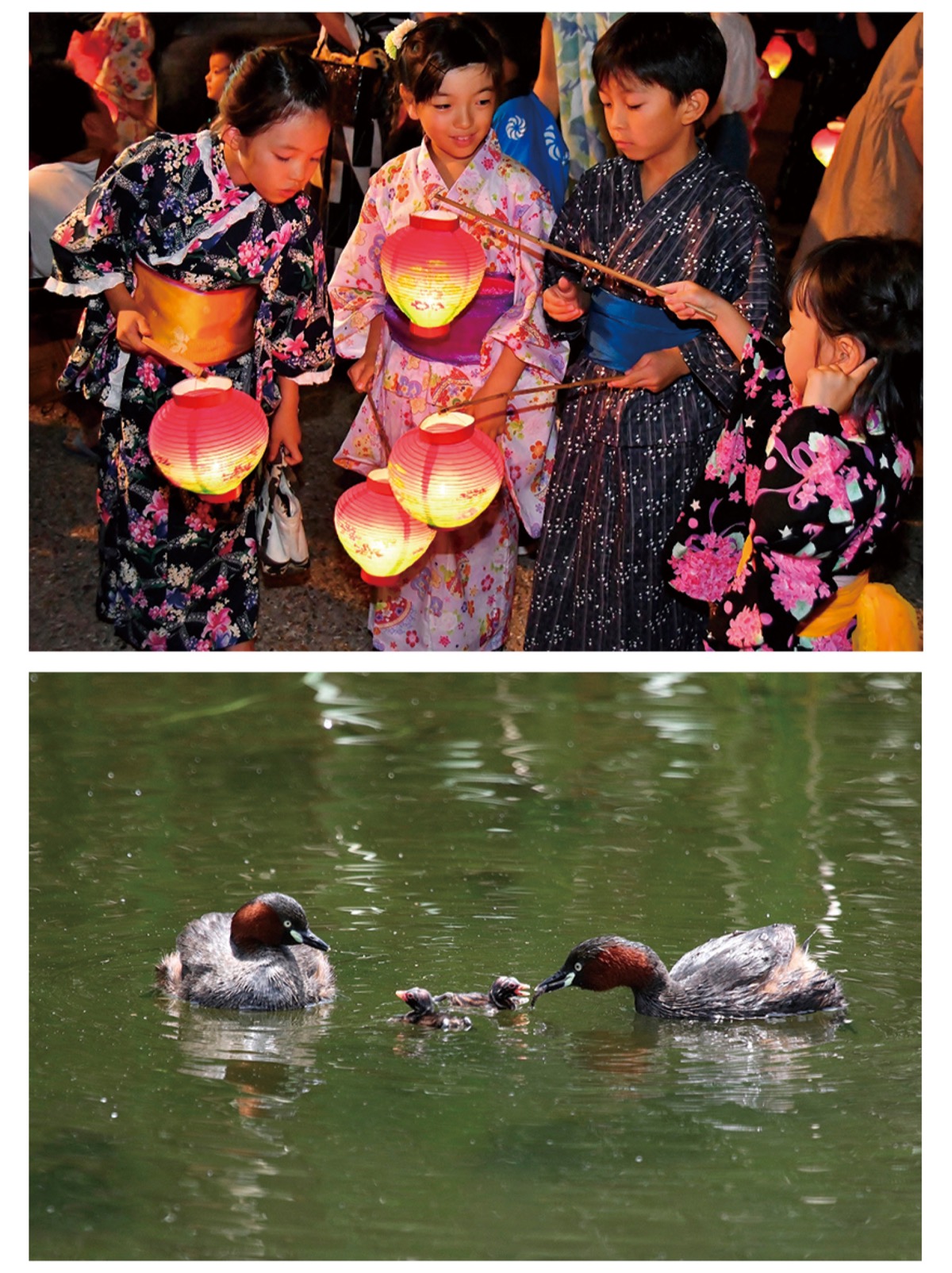 ”私の一枚”をパチリ