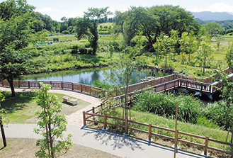昨年３月改修した広町公園は、在来種が集う空間へ