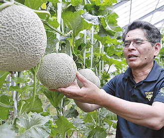 約３カ月で収穫するメロン栽培は「短期決戦」と秋山さん