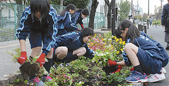 花を植え替える生徒たち