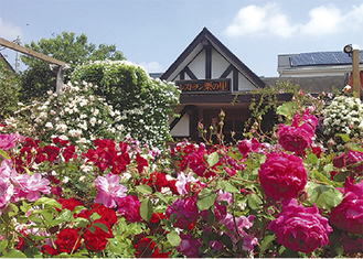 写真は昨年のようす