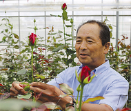 「一生育て続けたい」