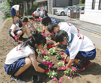 花を植える生徒たち