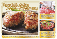 「とろけるハンバーグ」本厚木に上陸