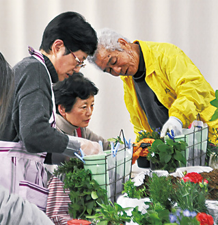 厚木市園芸協会花き温室部会のメンバーのアドバイスを受けながらバスケットに３種の花きを寄せ植えする参加者