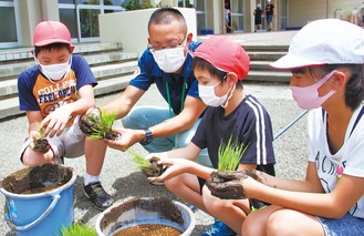 稲の植え方を教わる児童たち