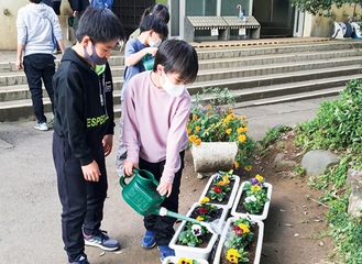 校内で花の苗に水をあげる児童ら