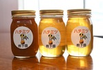 厚木産の蜂蜜